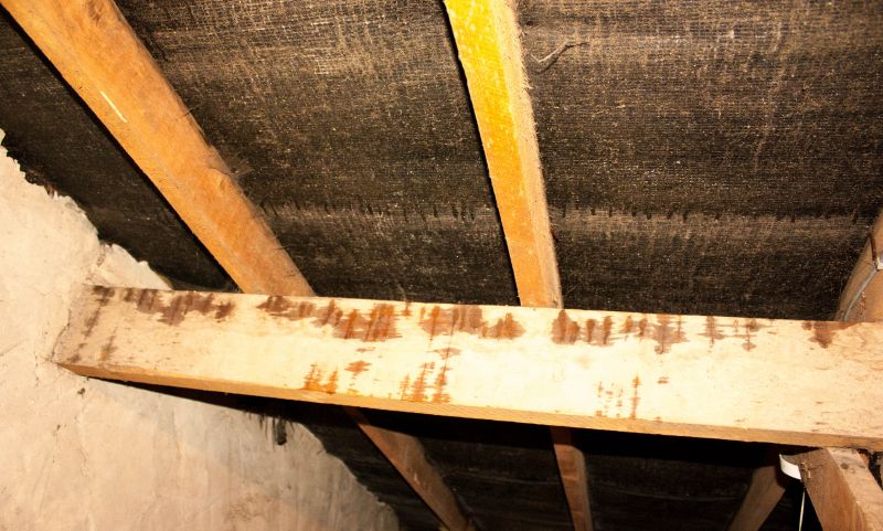 Building Repair Service in Littleton, CO